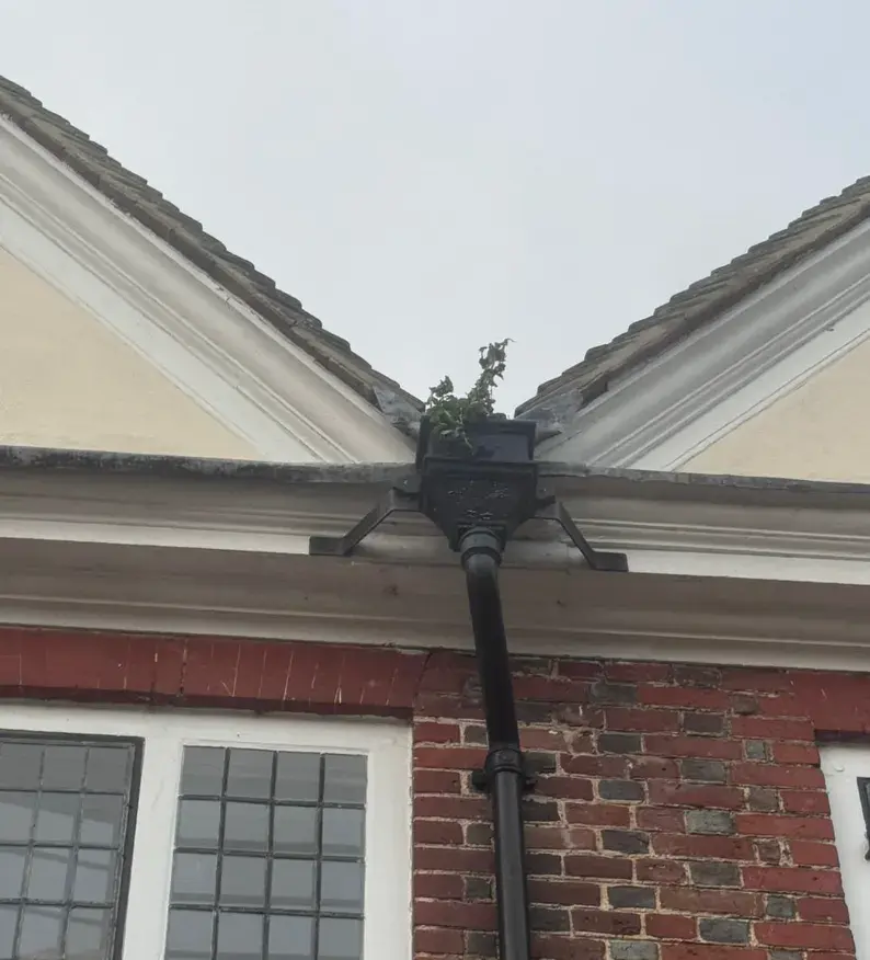 Exterior cleaning results in Canterbury