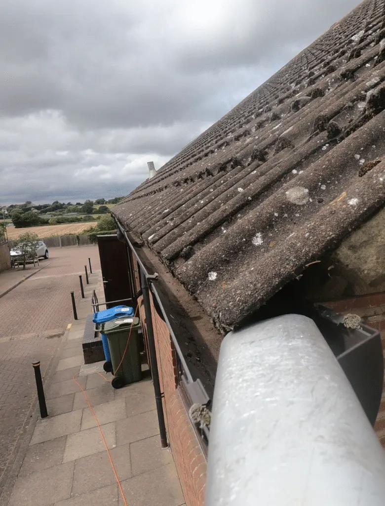 Gutter Cleaning